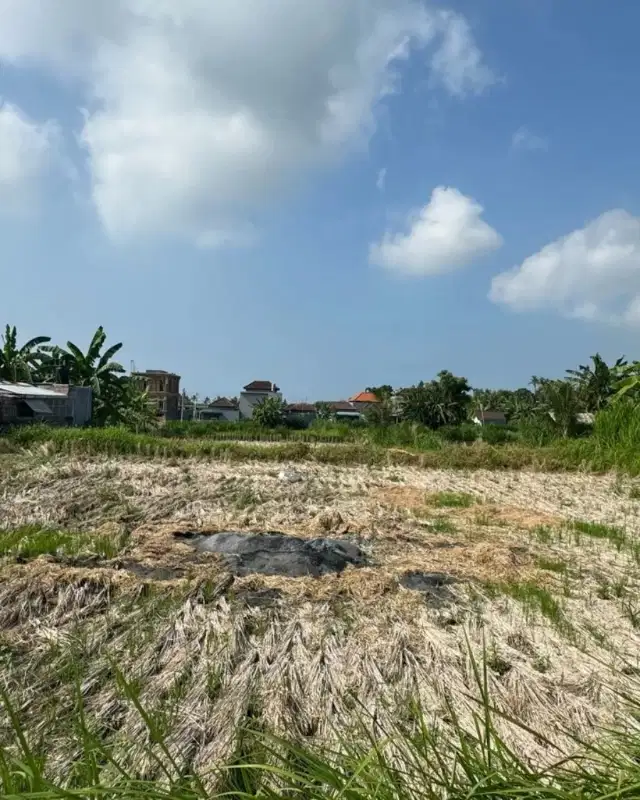 Tanah view sawah di gianyar, Akses jalan 4 meter