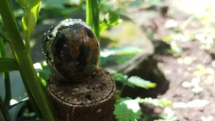 Batu Pirus Hitam Persia