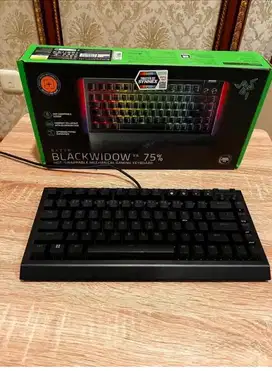 Razer Blackwidow V4 75%