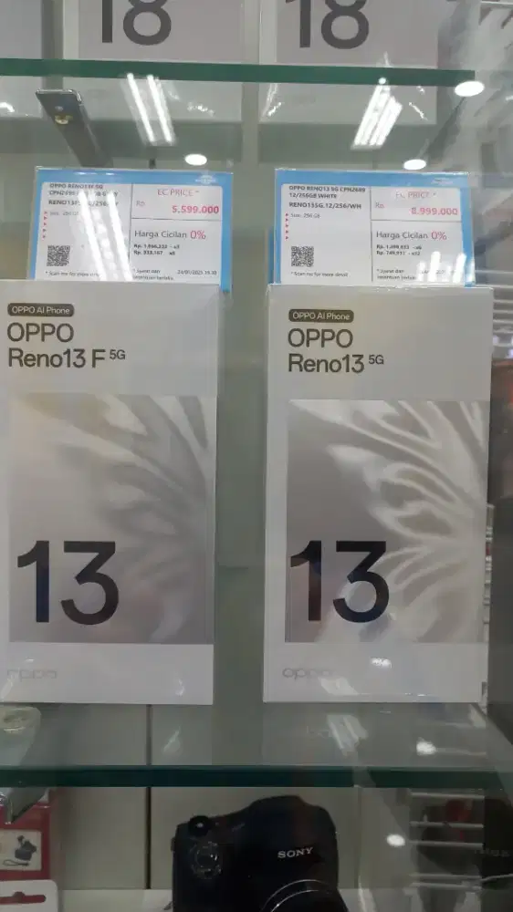 Oppo Reno 13f 5G