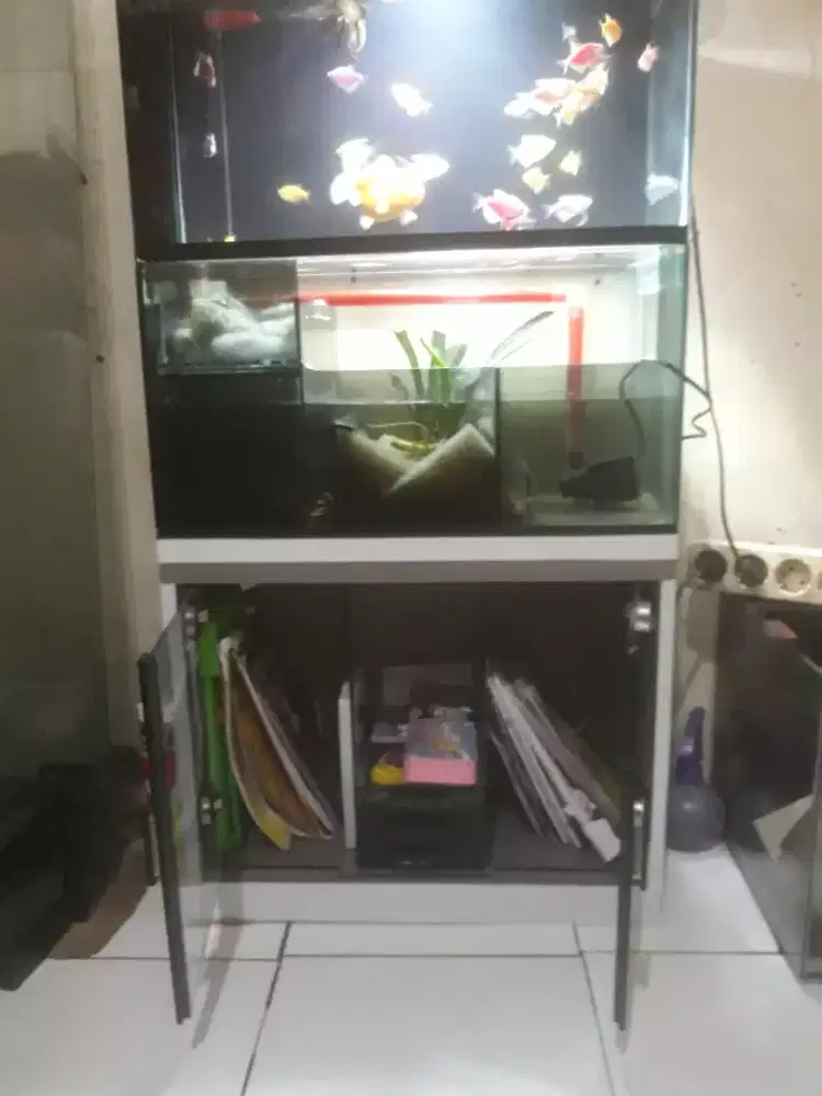 Aquarium dan kabinet