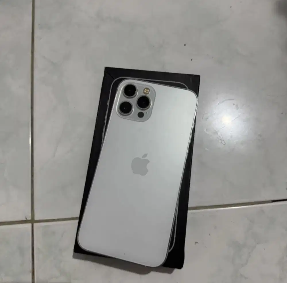 iphone 12 pro max 128gb beacukai