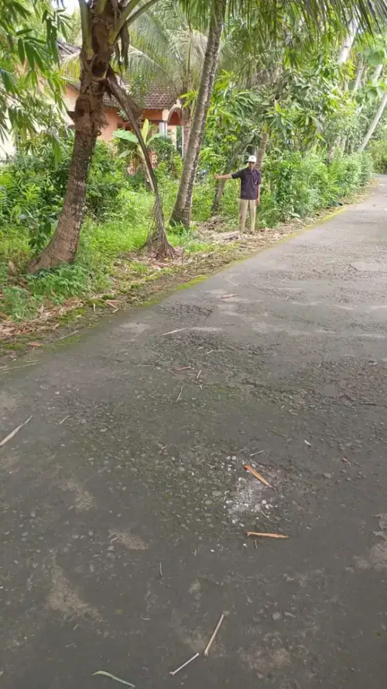 Tanah murah di Giripeni wates kp