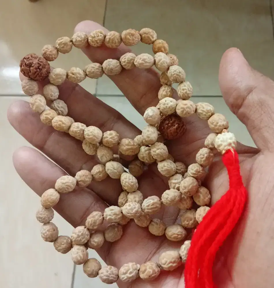 Tasbih biji Bidara