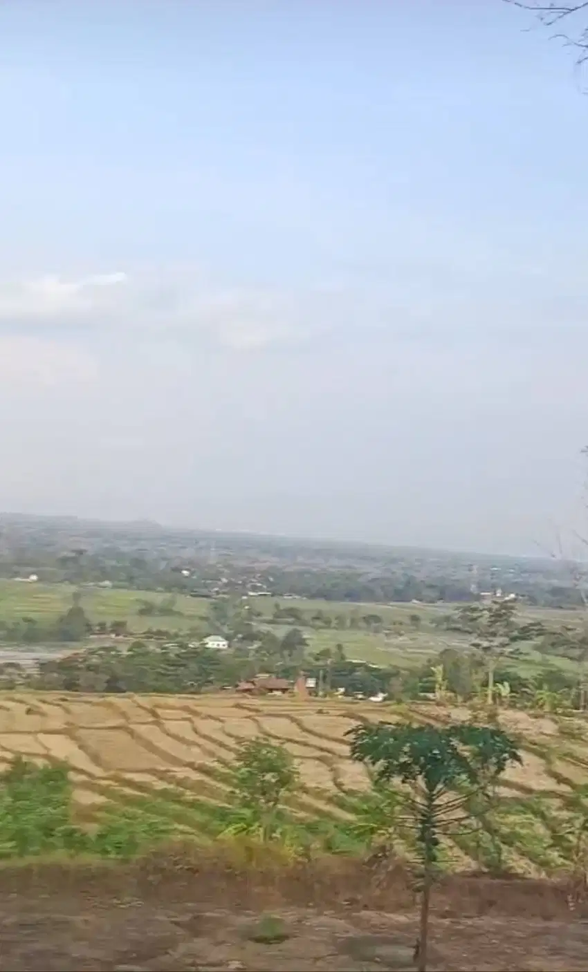Tanah View Cantik