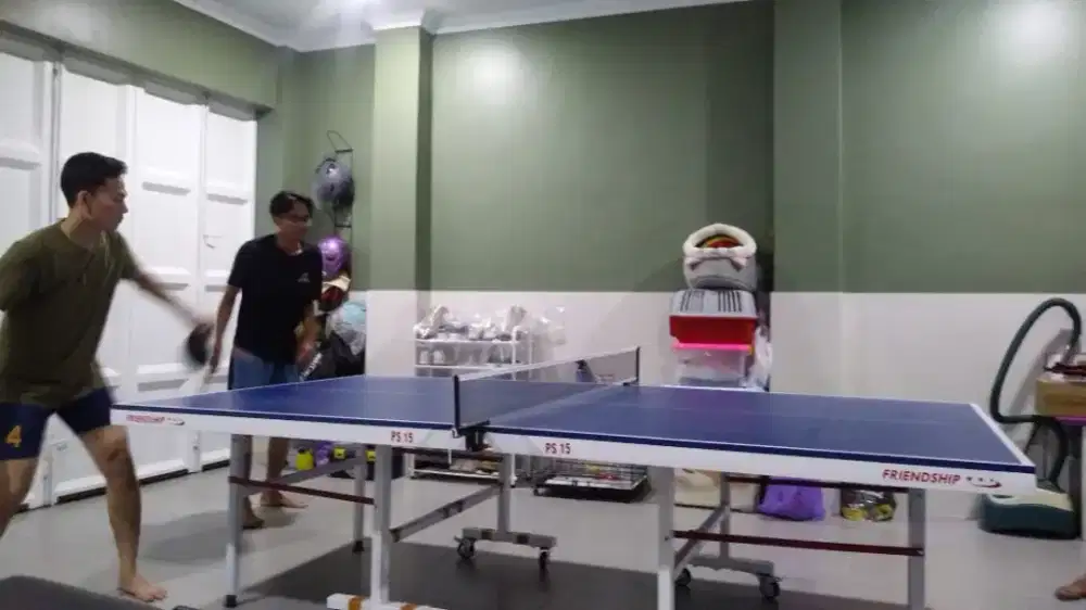 Tenis meja pingpong bagus