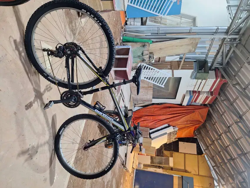 Sepeda mtb polygon