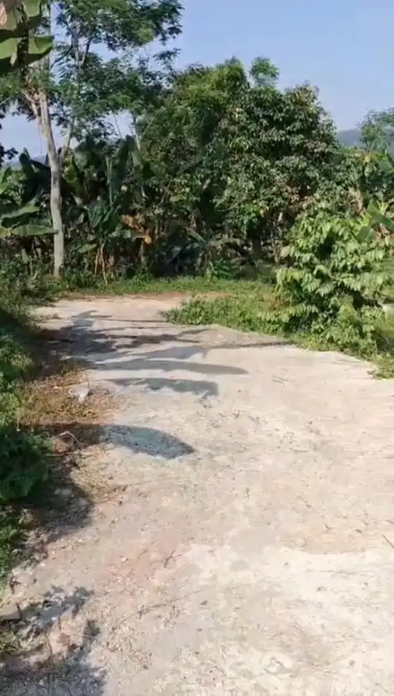 Di jual Khan tanah darat lt 2 hektar ss SHM lokasi pinggir jln desa