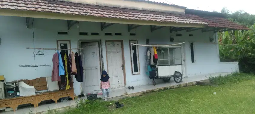 RUMAH KONTRAKAN 3 PINTU DEKAT KAMPUS