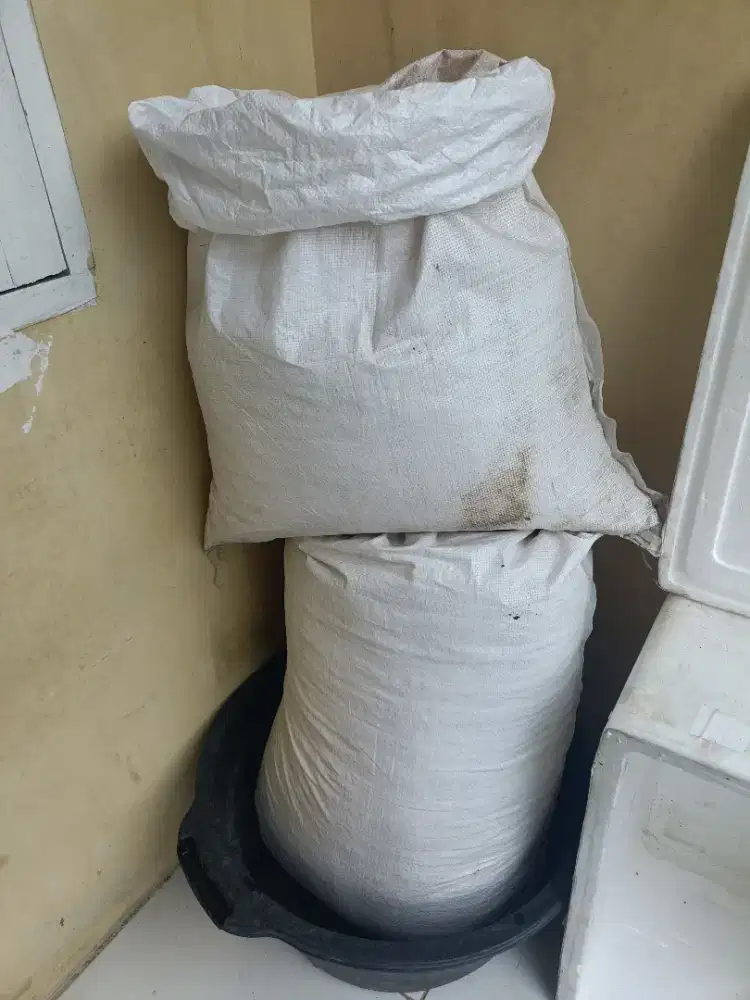 Serbuk Kayu Jati Belanda Ukuran Karung Jumbo & Sedang