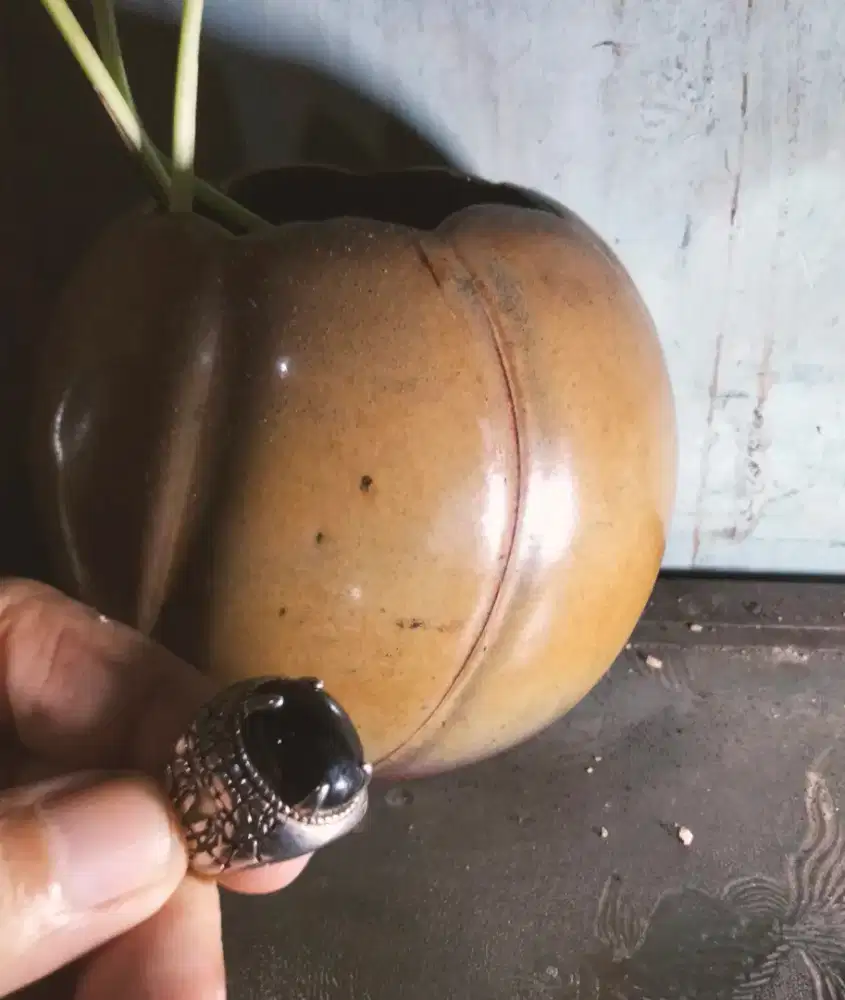 Permata Banjar macan hirang