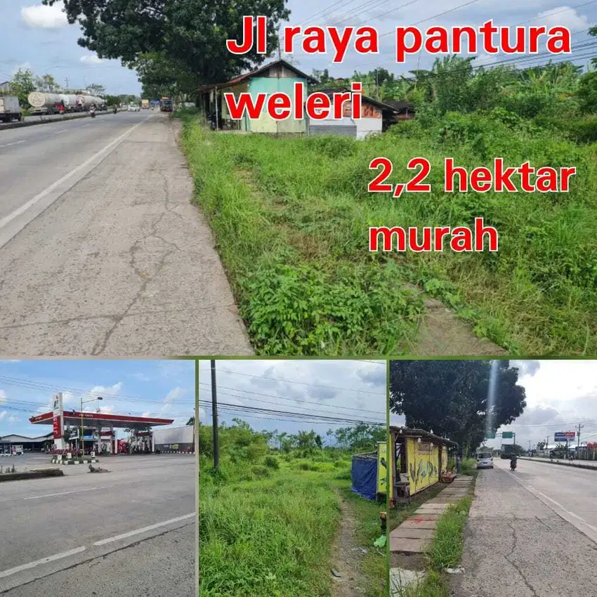 DIJUAL TANAH WELERI KENDAL PINGGIR JALAN RAYA PANTURA SIAP BANGUN