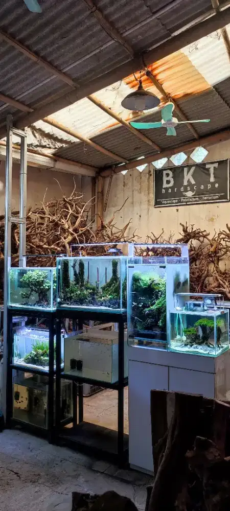 Aquascape, Paludarium & Terrarium