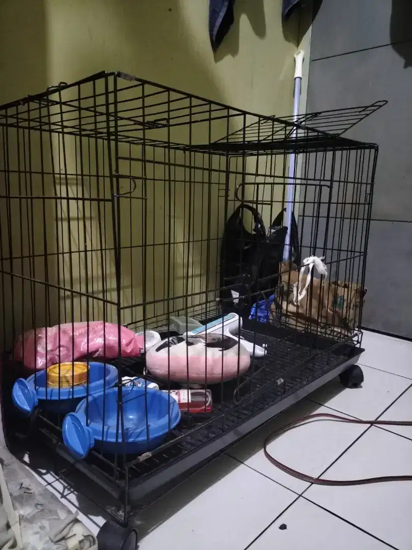 Di jual kandang kucing dan liter box