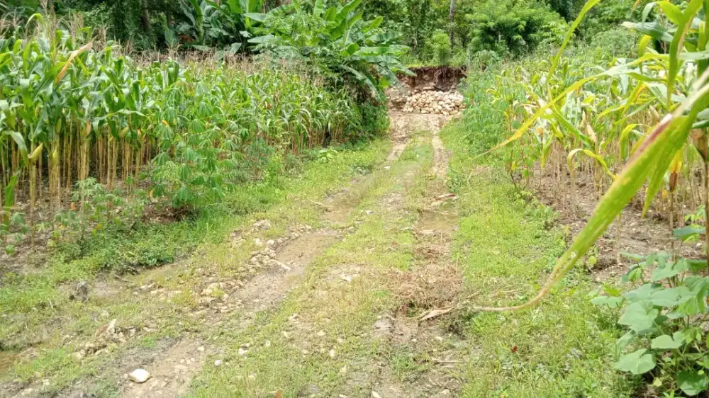 Jual tanah prospek bagi pengembang