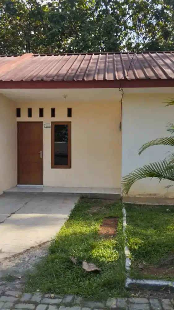 Rumah kontrakan kosong