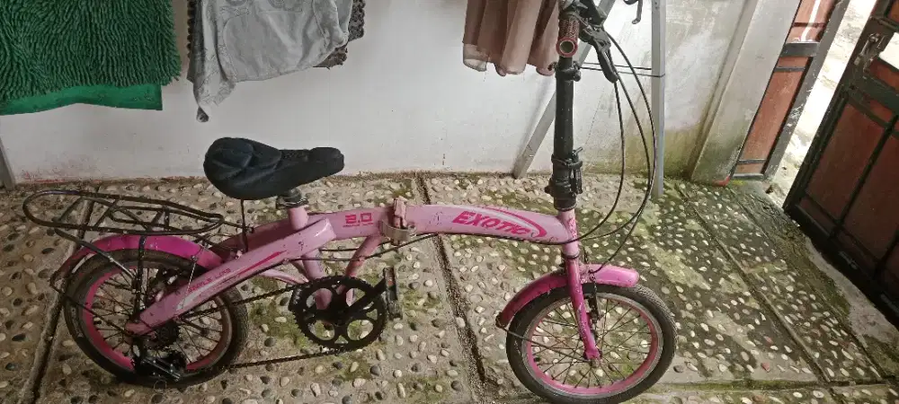 Sepeda pink exotic