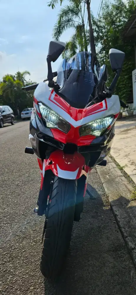 Ninja 250 FI (non abs)