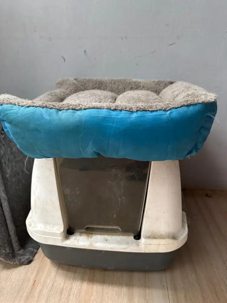 Tmpt pup sama alas murmer jual cpt