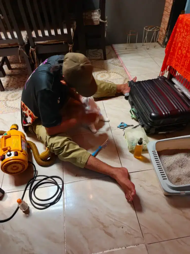 Grooming Tinypet panggilan kerumah