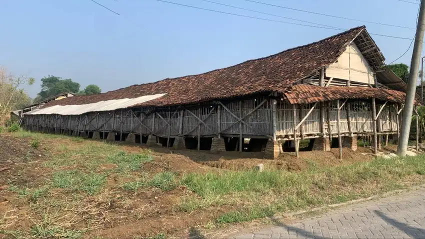 Dijual Cepat Tanah Komersial Wringinanom Gresik Termurah