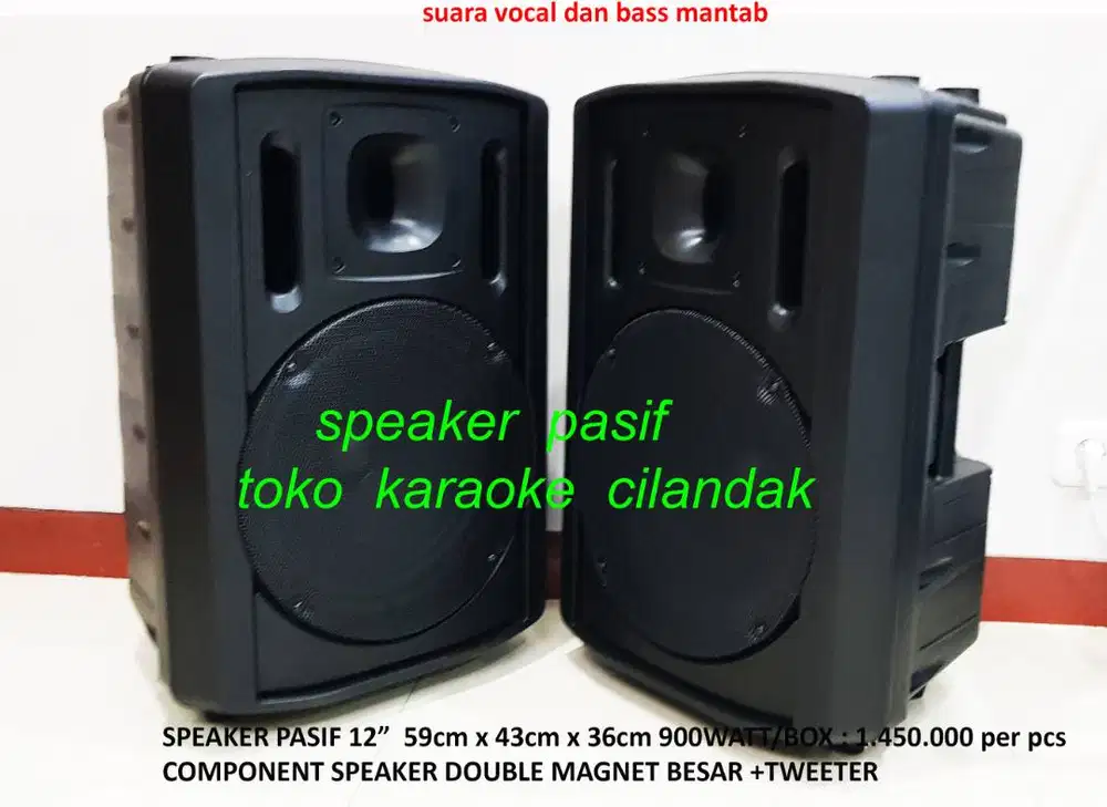 pasif speaker 12 bas mantap