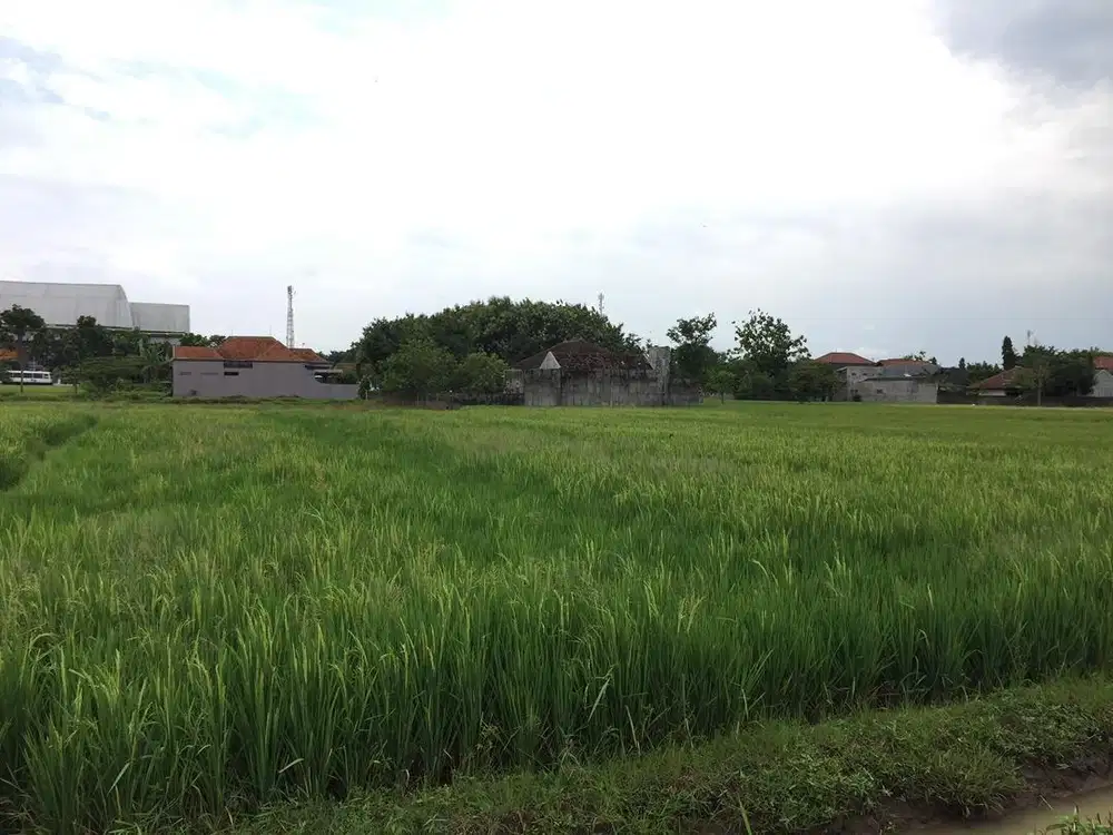 Tanah luas belakang GOR RM Said Kota Karanganyar, Solo