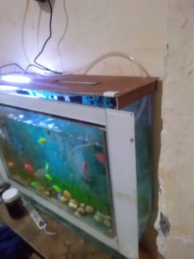 Akuarium model tv