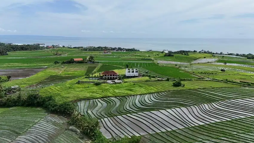 Jual tanah luas kecil dekat pantai murah di tabanan bali