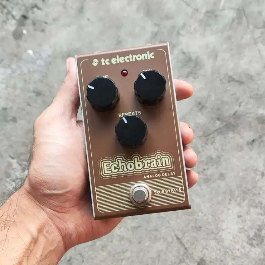 Tc electronic echobrain analog delay echo pedal efek gitar