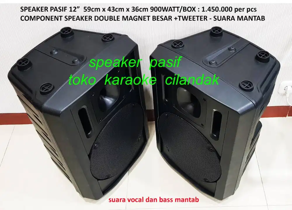 speaker pasif 12wqtt besar