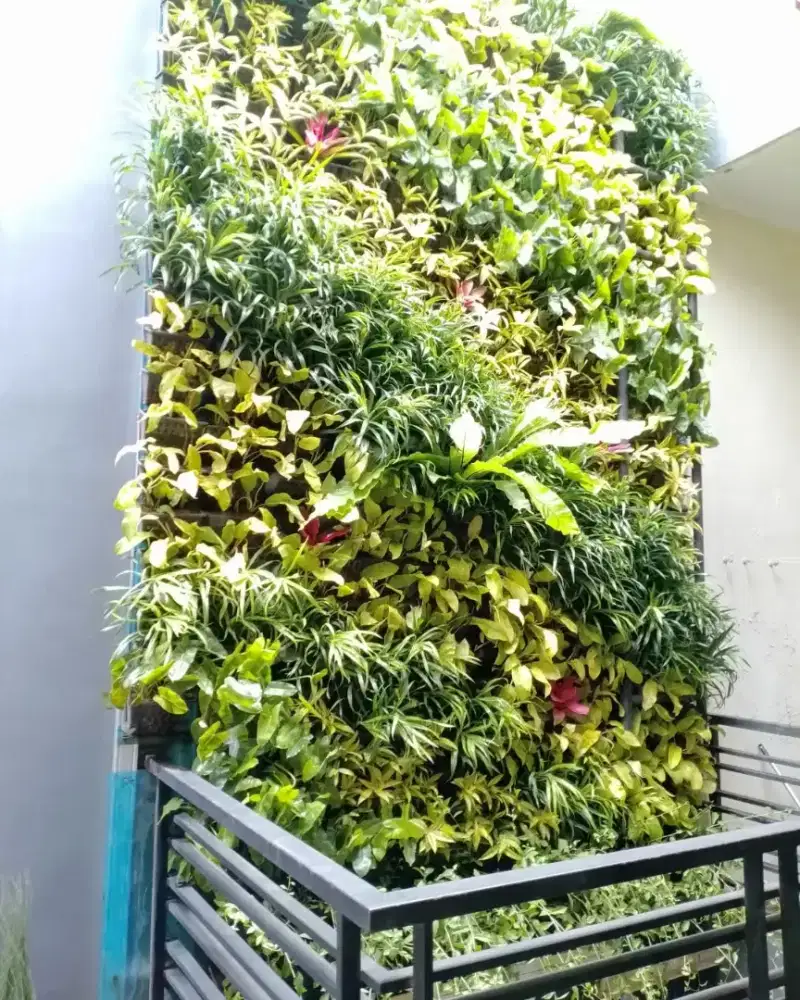 Pembuatan Taman Vertikal