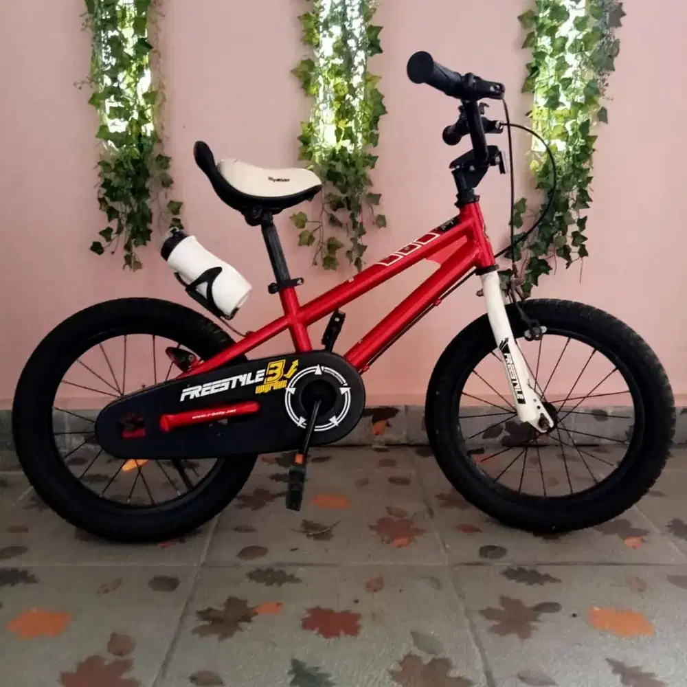 Royalbaby Sepeda Anak Freestyle - Merah dan Biru