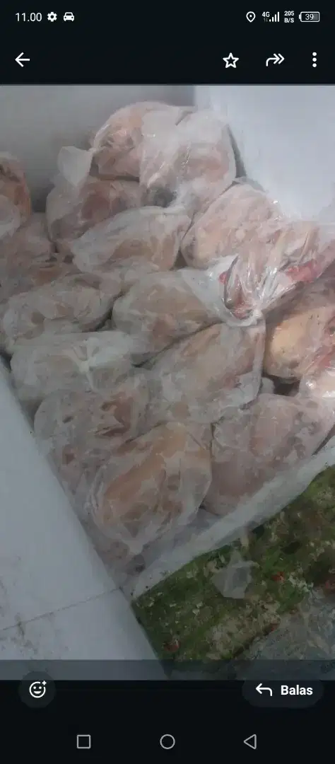 Ayam kampung Frozen