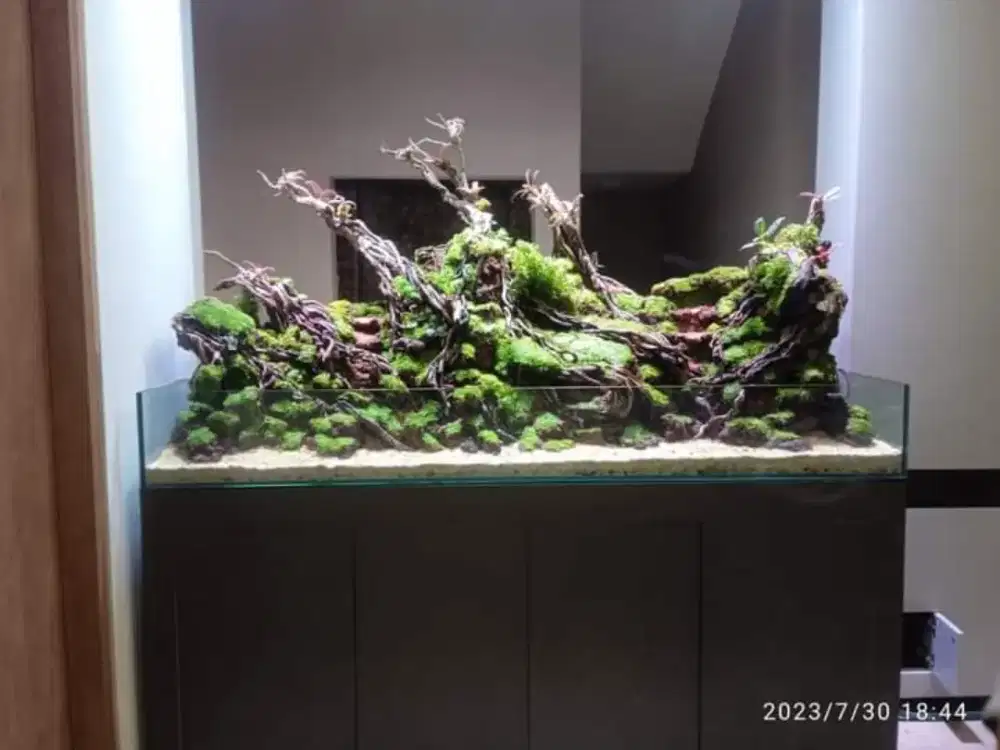 Aquarium aquascape