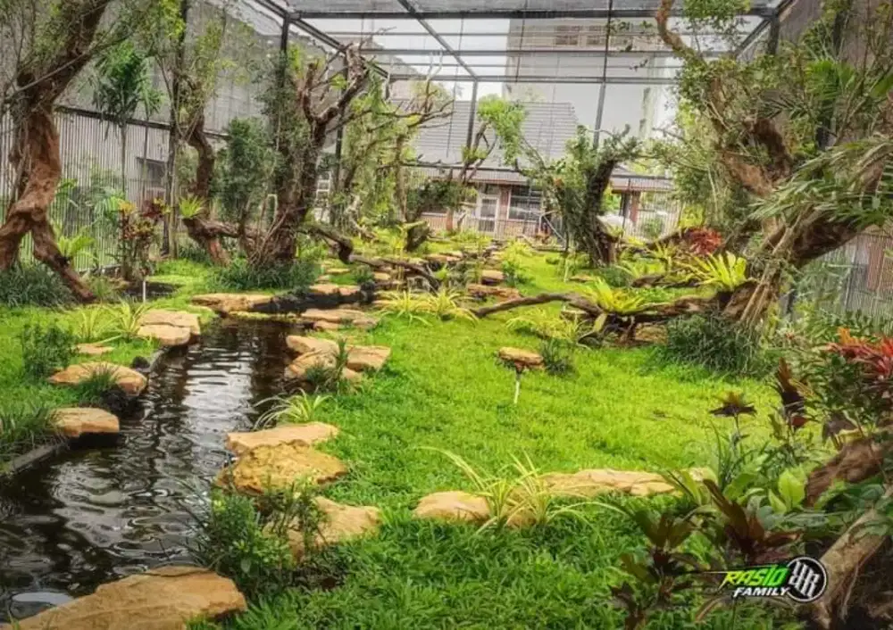 Kolam ikan natural pond