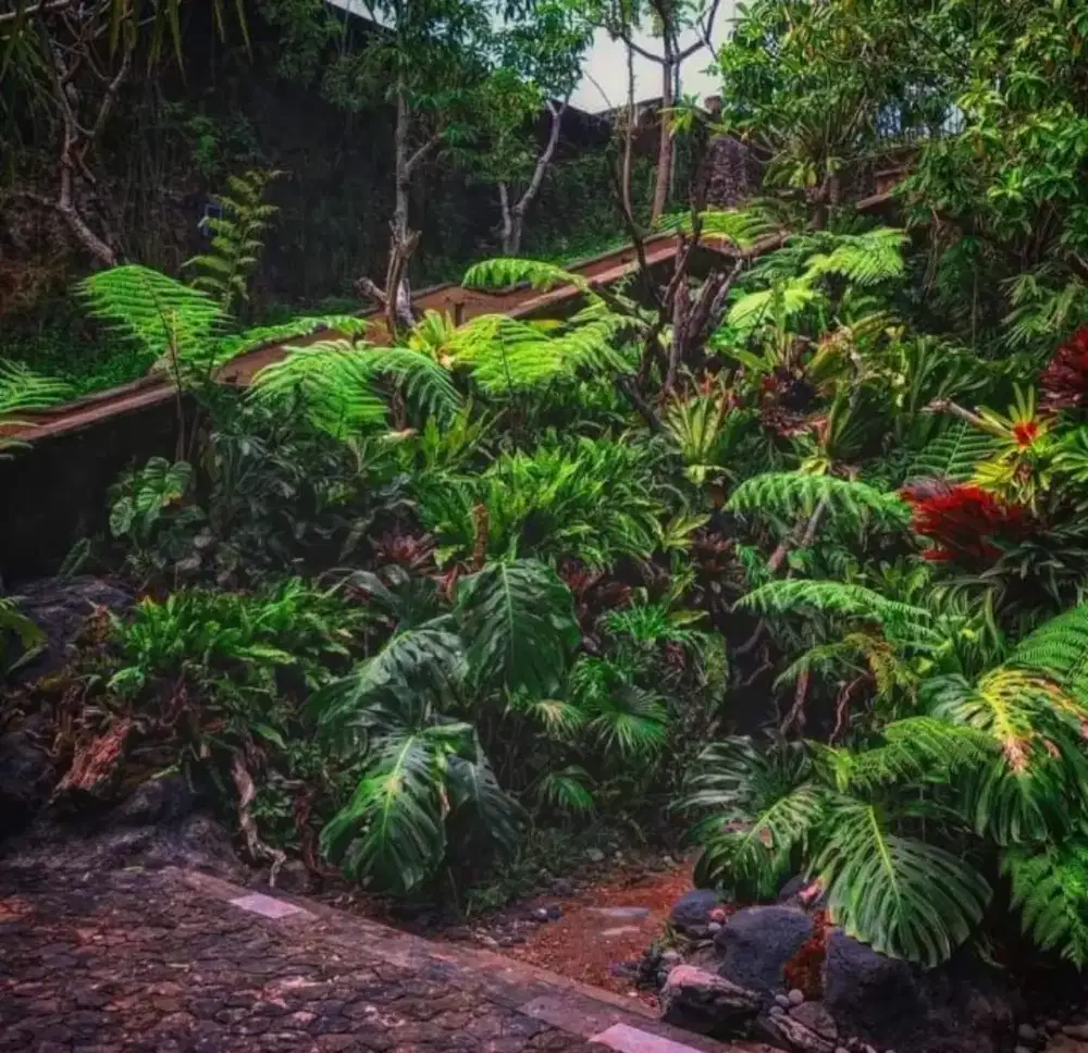 Taman dan kolam ikan