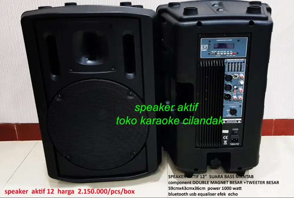 SPEAKER AKTIF 12   component DOUBLE MAGNET BESAR +TWEETER BESAR 59cmx