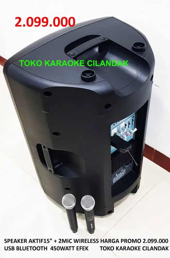 SPEAKER AKTIF15 + 2MIC WIRELESS USB BLUETOOTH  450WATT EFEK