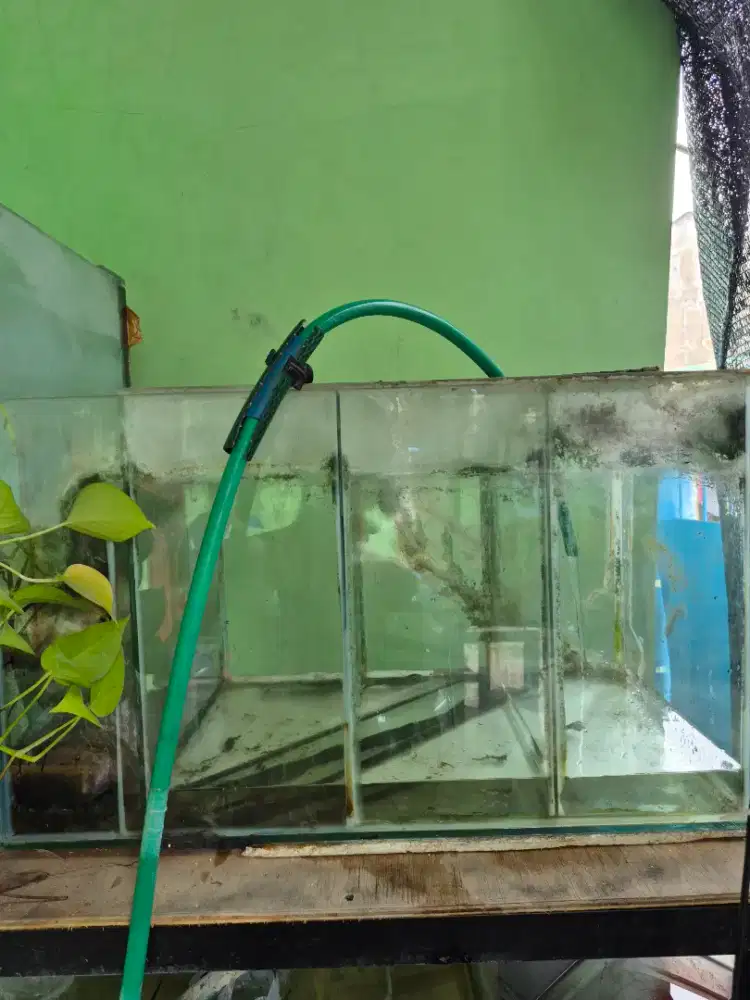 Aquarium sekatan