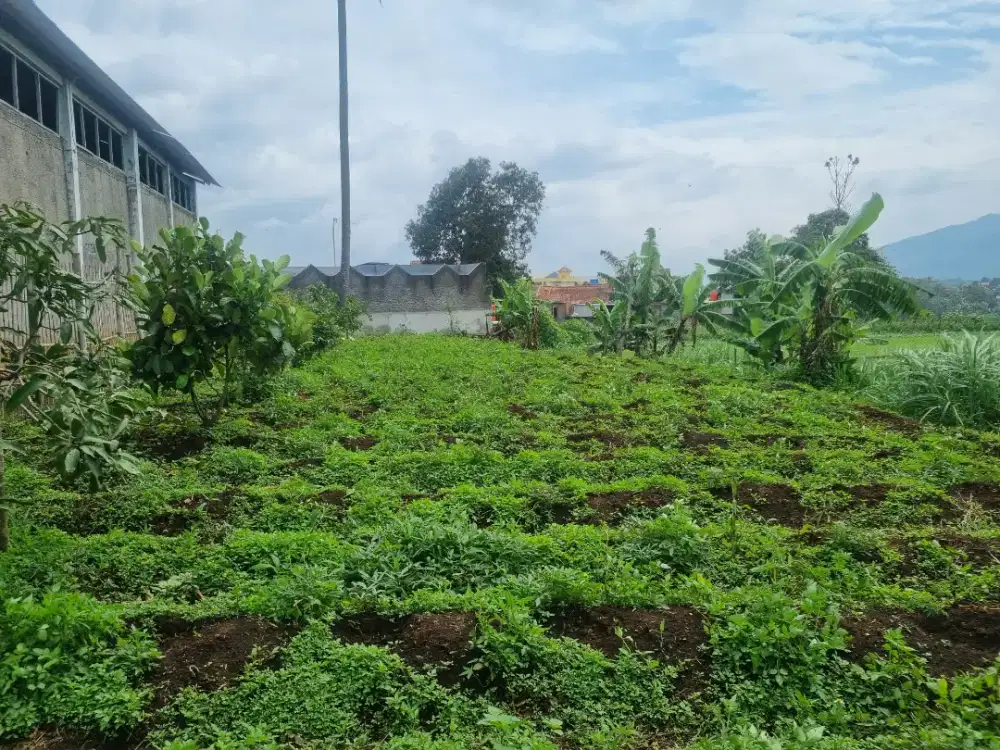 Dijual cepat tanah untuk kavlingan rumah, berkebun,kolam ikan,nego /m2