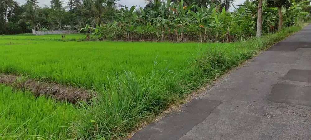 TANAH DIJUAL Area Kampus UII JOGJA