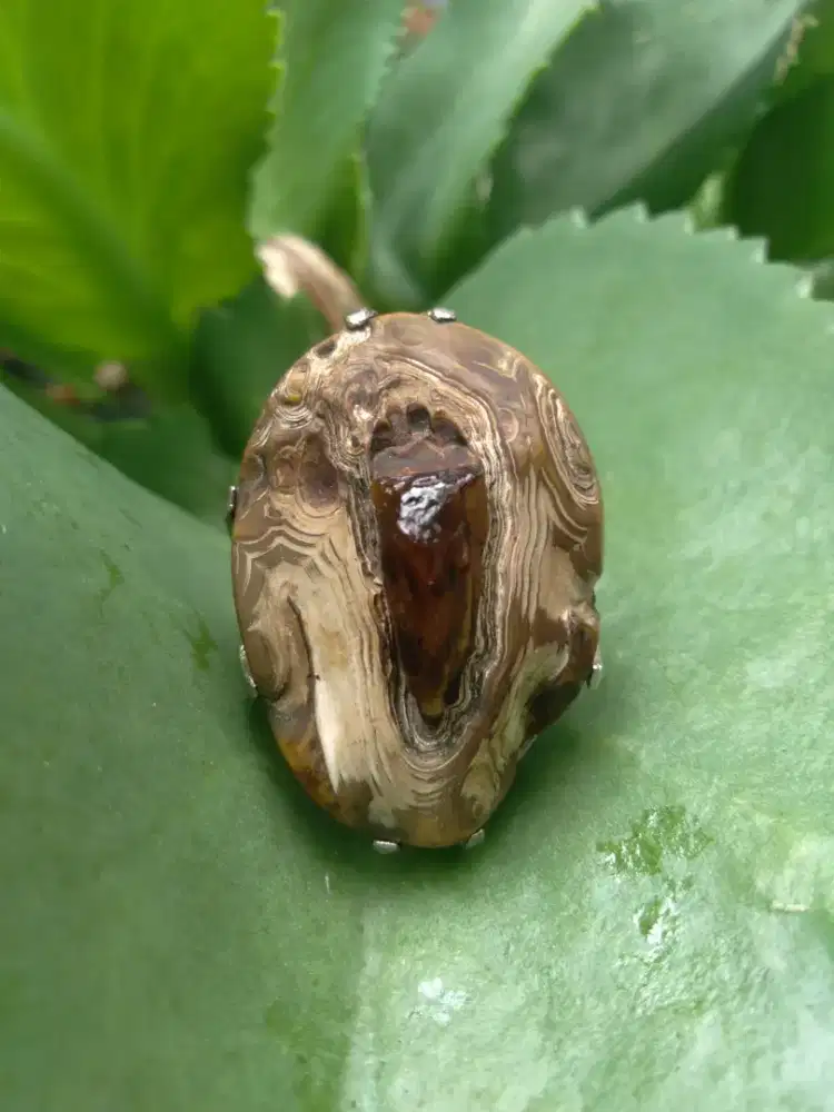 Batu Akik Unik Sakral Tudung Bawuk Bukan Bahan Bacan