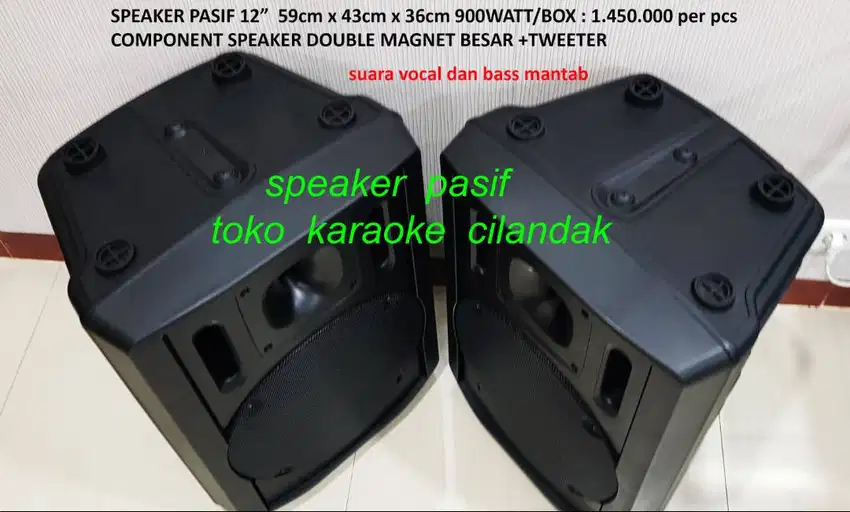 speaker pasif 12in