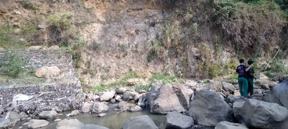 Jasa menangkap hewan yang masuk ke rumah
