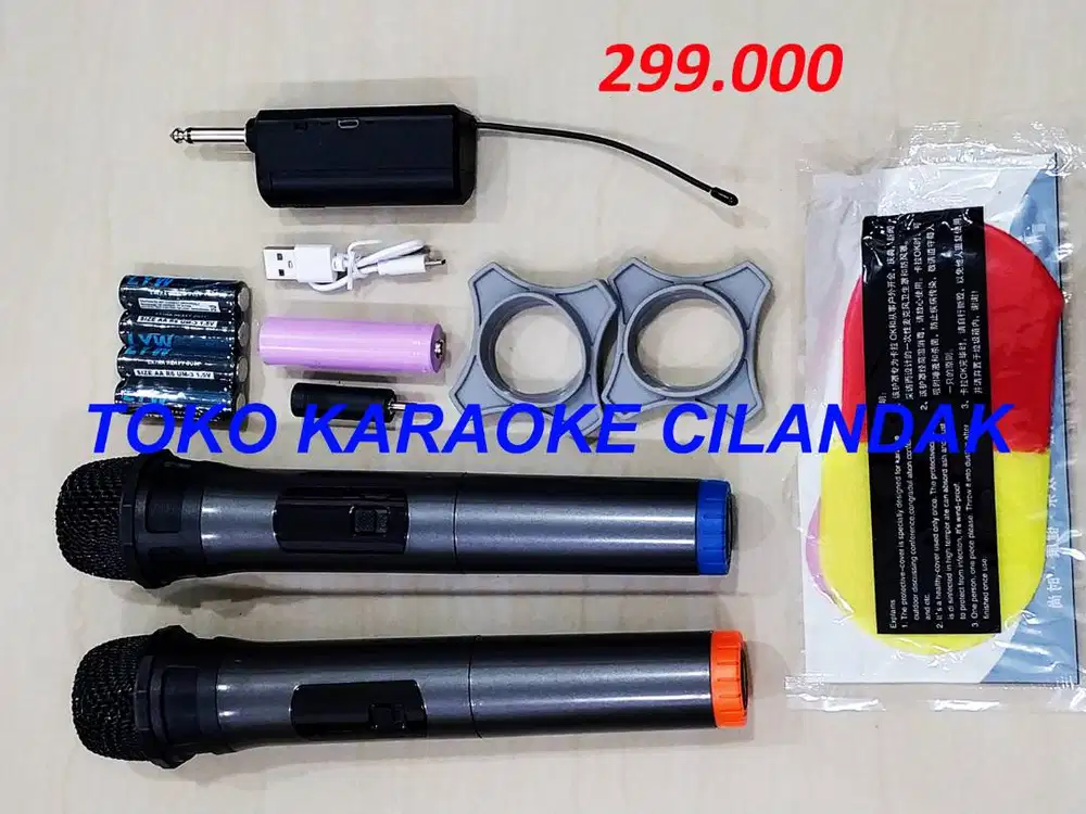 MICROPHONE WIRELESS SIMPLE 2MIC  2MIC