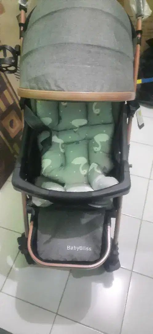 Stroller baby bliss