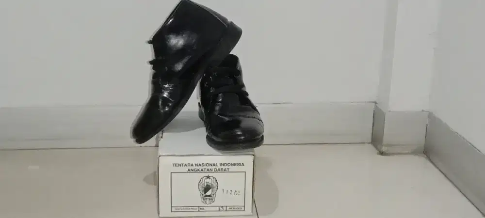 Sepatu Pdh No.43