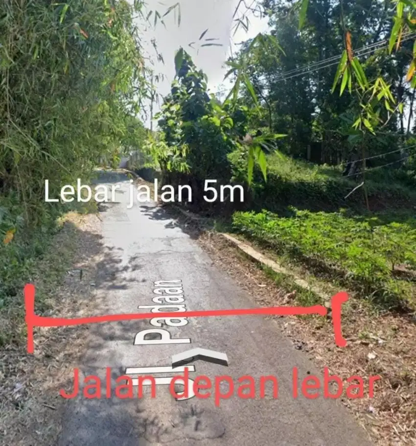 Jual Tanah Mijen Semarang