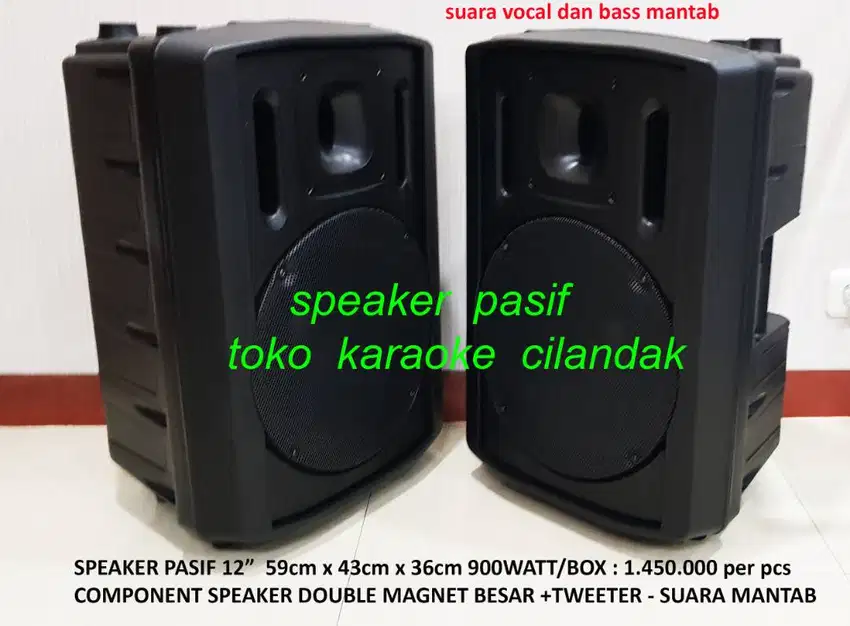speaker pasif 12in 1pcs